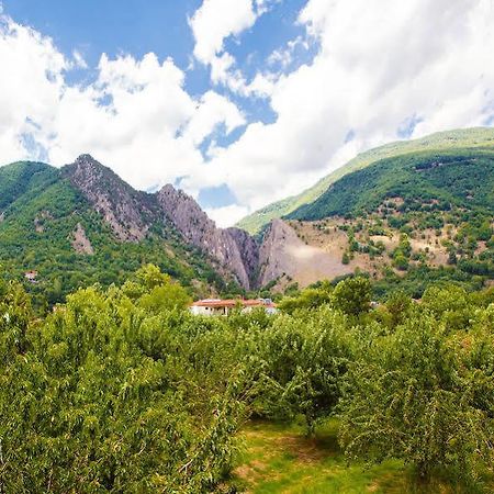 Irenes Resort Káto Loutrákion Kültér fotó